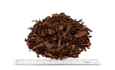 Understanding the Difference Between Mulch and Bark & Determining Which to Use