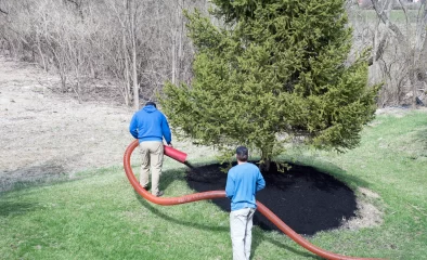 A Comprehensive Guide to Selecting the Best Mulch